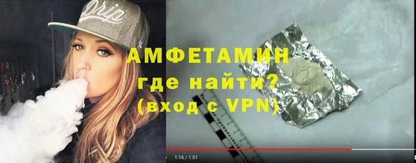 мет Алексин